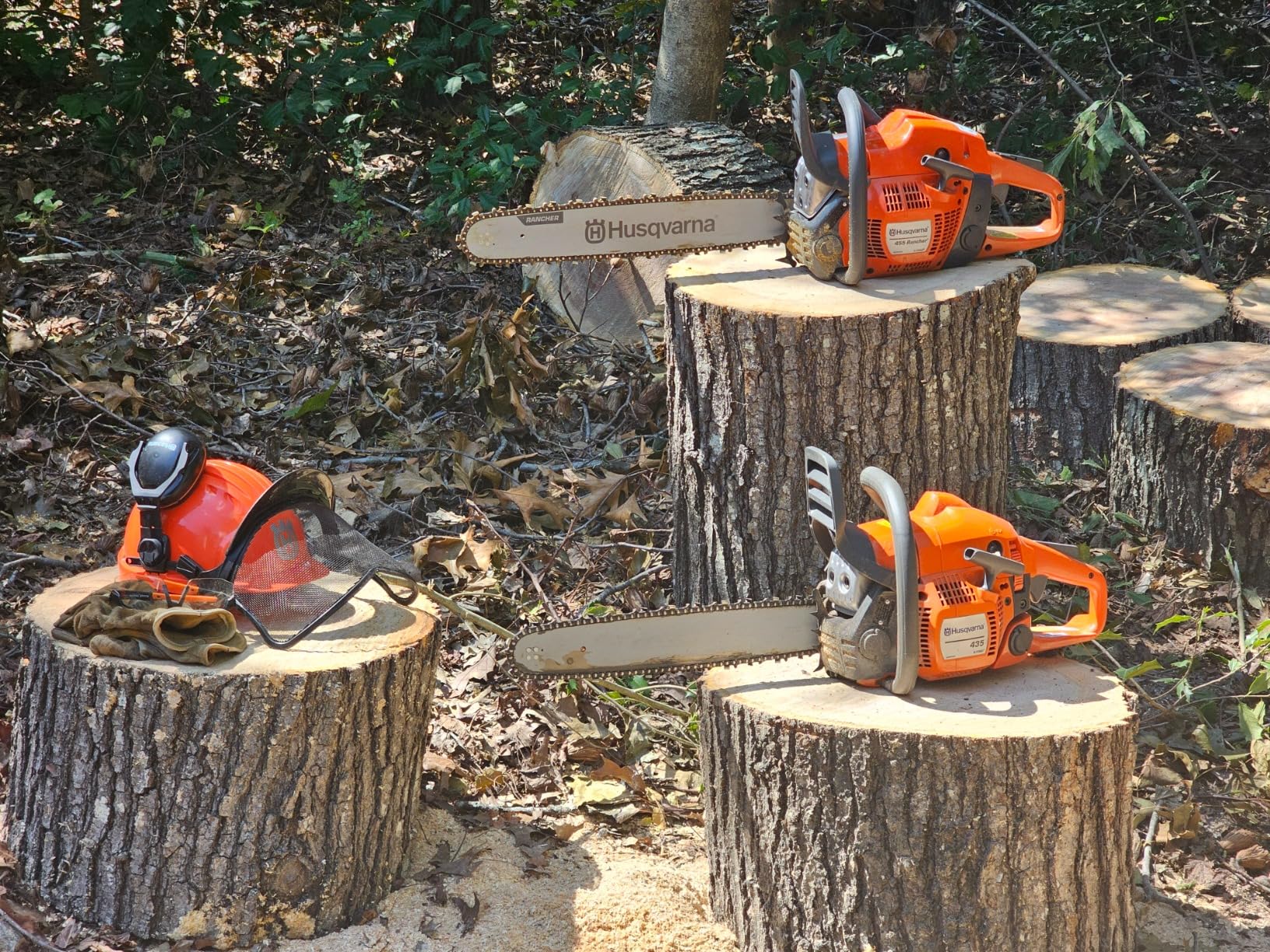 455 Rancher Gas Chainsaw, 55-cc 3.5-HP, 2-Cycle X-Torq Engine, 20 Inch Chainsaw with Automatic Oiler, For Wood Cutting, Tree Trimming and Land Clearing, Gifts For Men customer photo 2