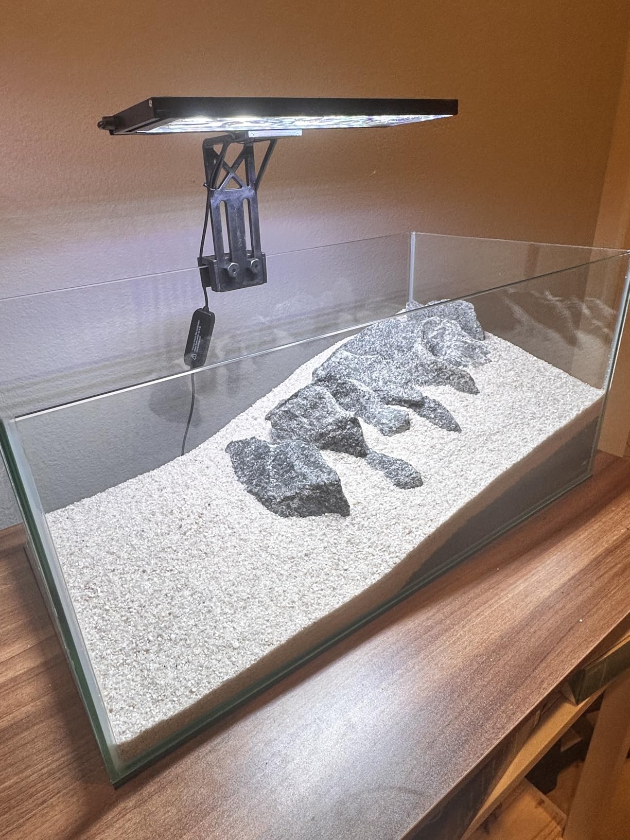 SEAOURA Clip On Aquarium Light for Plants-24/7 Cycle Fish Tank Light with Timer, Full Spectrum+7 Colors Mode, Auto On/Off, Adjustable Brightness and Height, 12W (7inch for 7-12 inch Tank) customer photo 2