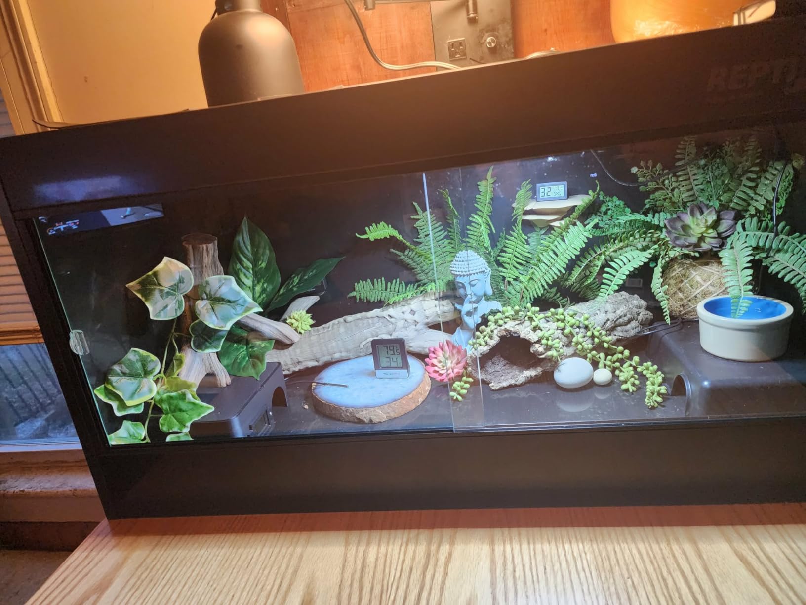 REPTI ZOO 50 Gallon PVC Reptile Enclosure, 36x18x18 inch Reptile Tank for Ball Python Bearded Dragon Snake Gecko, Reptile Terrarium Lounge Habitat with Glass Sliding Door & Top Screen Ventilation customer photo 1