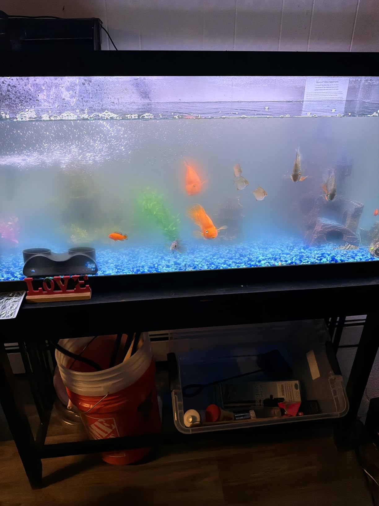 Aquarium Filter for 75-200 Gallon Tank, U-V Fish Tank Green Clean Machine Submersible Powerful Pump Canister Filter 300GPH customer photo 2