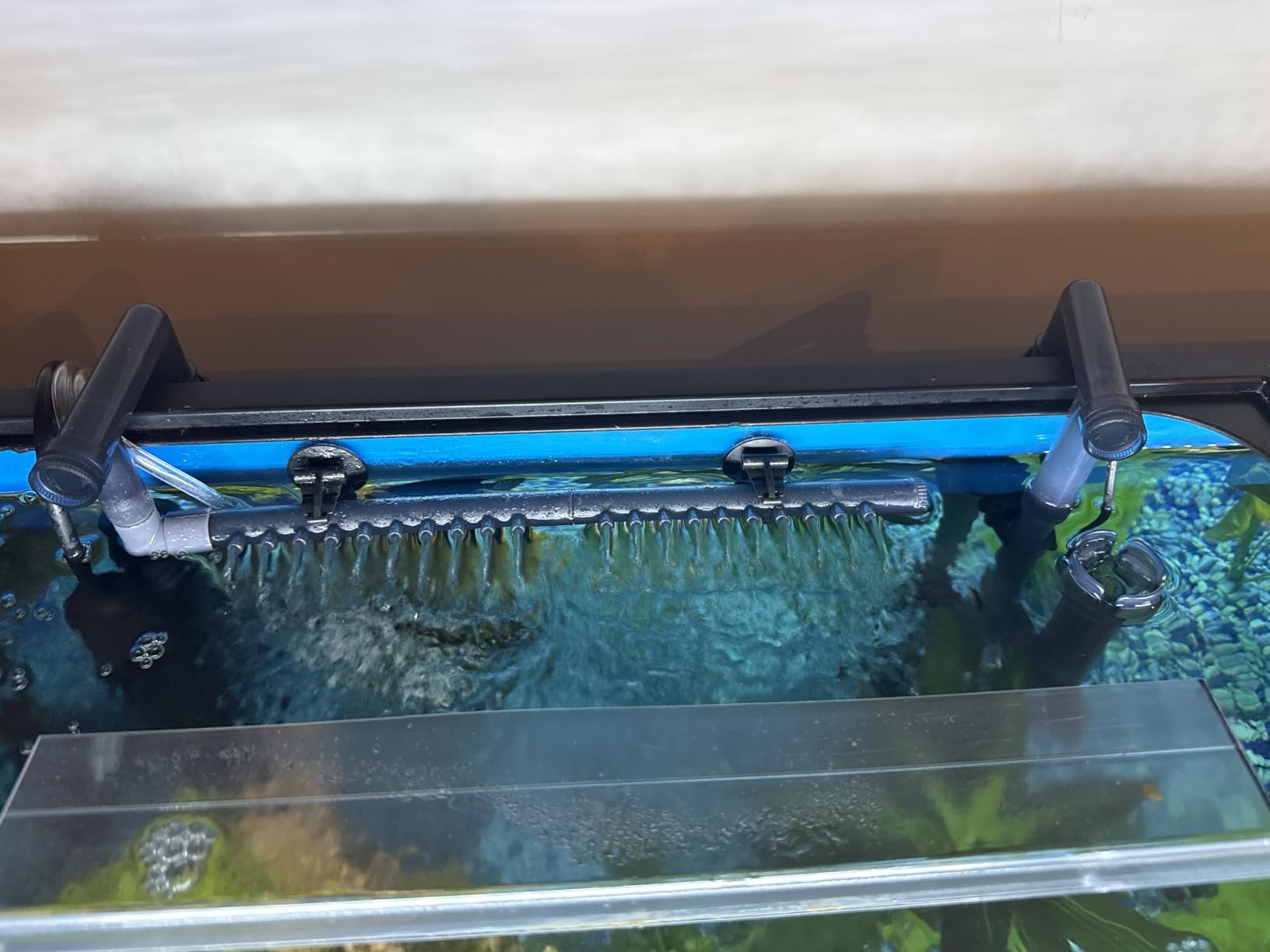 VEVOR Aquarium Filter 317GPH, 4-Stage Canister Filter 75-100 Gallon, Ultra-Quiet Internal Aquarium Filter with UV Protection customer photo 2