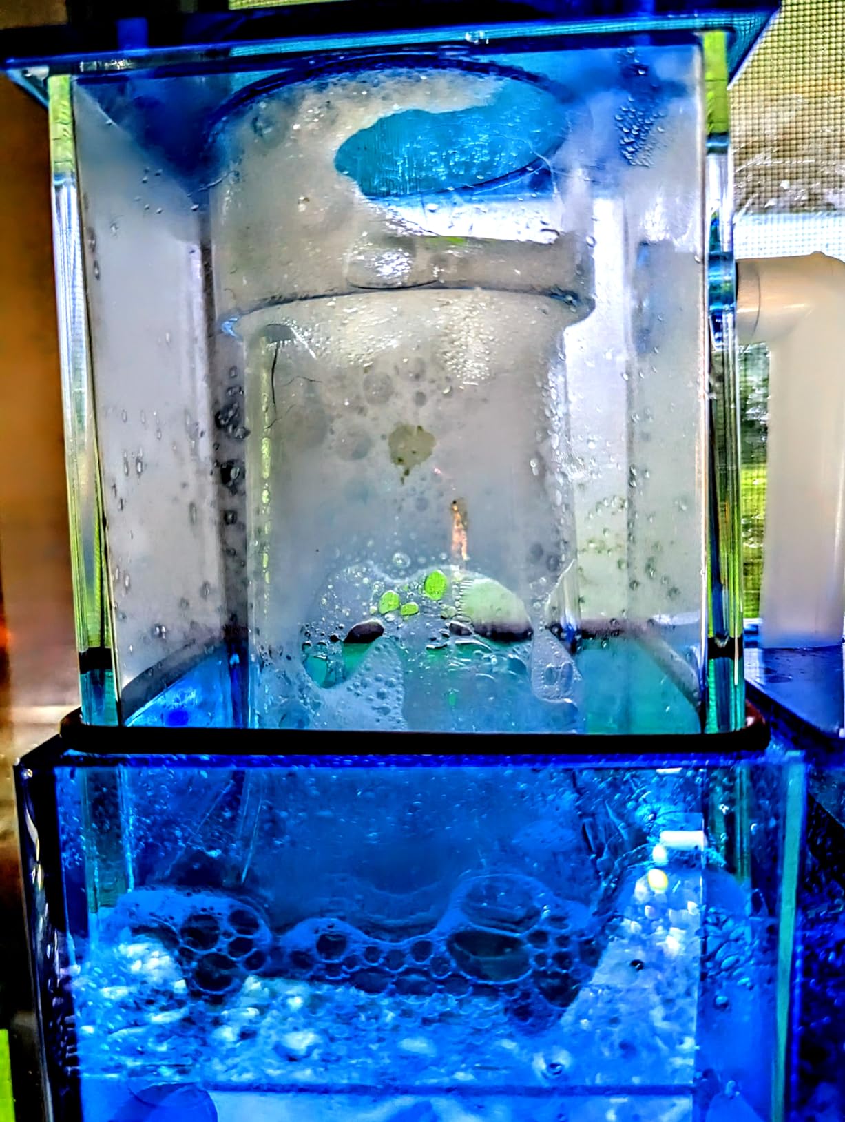 AquaReady Hang On Back Protein Skimmer for Saltwater Aquariums HOB-1.5, Up to 75 Gallon Fish Tank Filtration, Hang On External, Adjustable, Ultra Quiet Pinwheel Pump customer photo 1