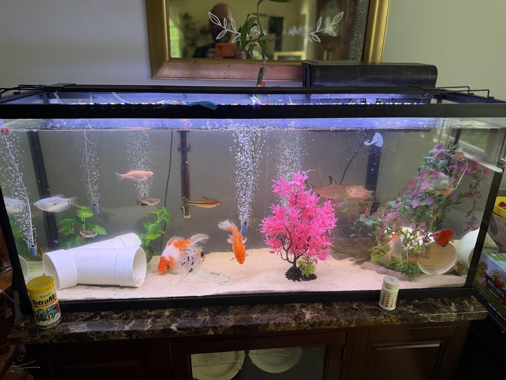 AQQA LED Aquarium Light, 24/7 Mode IP68 Waterproof Extendable Bracket Fish Tank Light, DIY Mode Full Spectrum Aquarium Plant Light, Adjustable Timer/Brightness Memory Function for 18-24 Inch Fish Tank customer photo 1