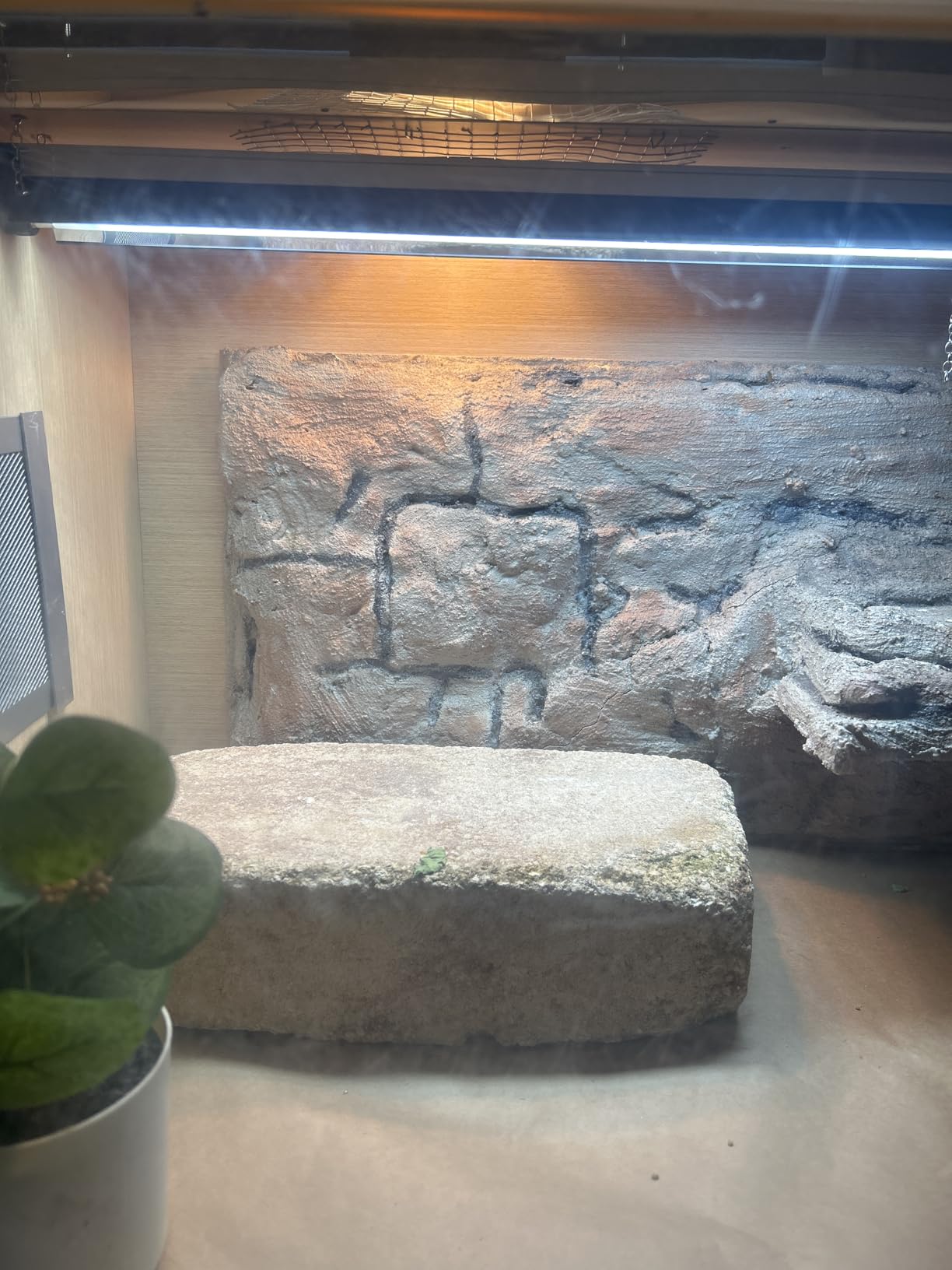 Arcadia T5 UVB Reptile Light Fixture Kit 22.5
