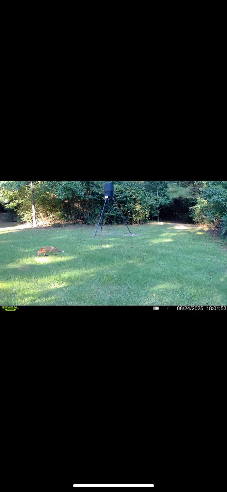 Tactacam Reveal X 3.0 Cellular Trail Camera - Auto Connect 4G LTE, 4K Photo, 1080p Video, Low-Glow IR Flash, No SD Card Needed, Long Battery Life customer photo 2