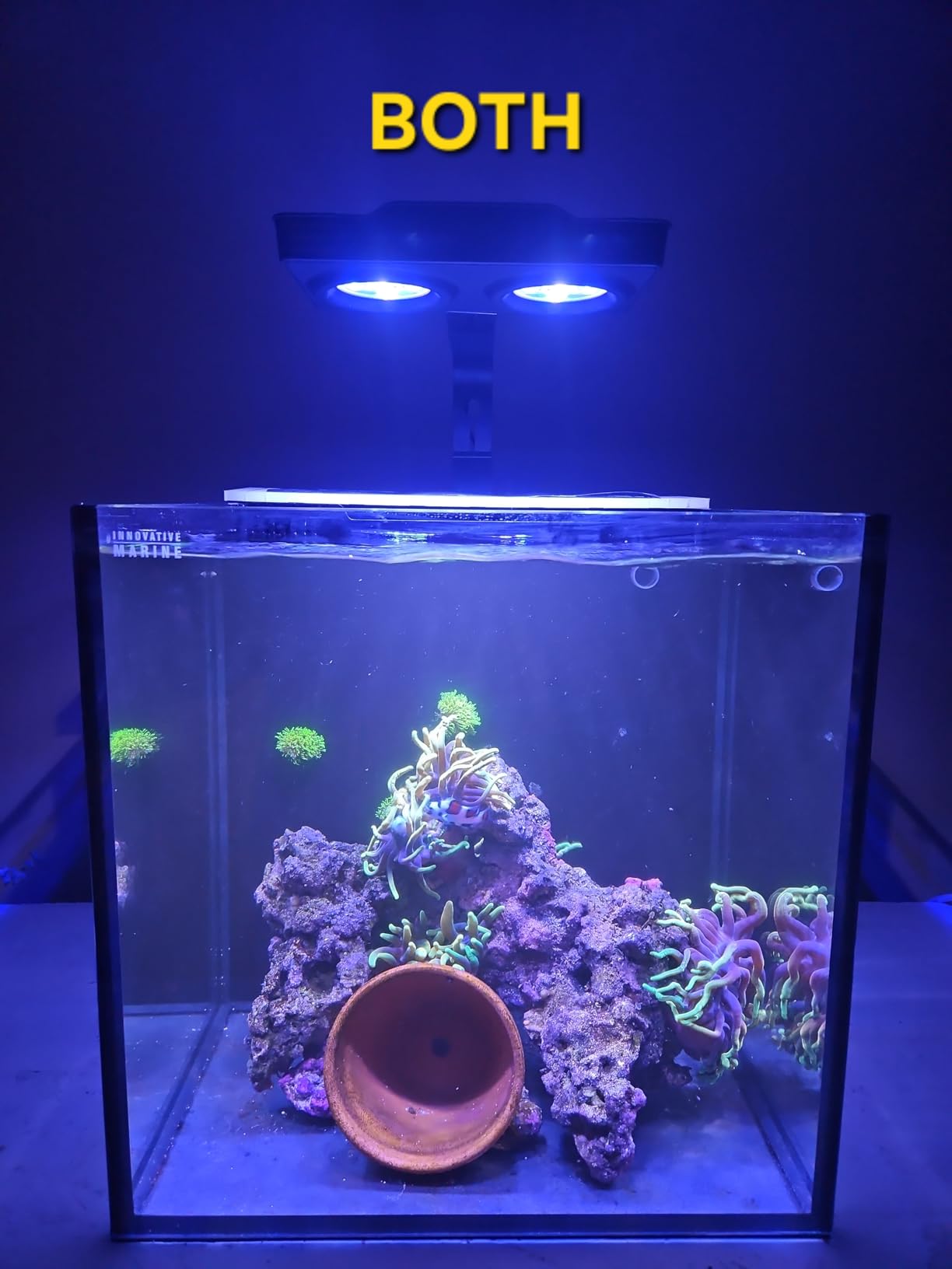 Aquarium Light -A036 Reef Tank Light 36 Watts Saltwater Light with Touch Control, Reef Lights for Coral Reef Nano Fish Tank Marine Tanks with Timer & Screen customer photo 1