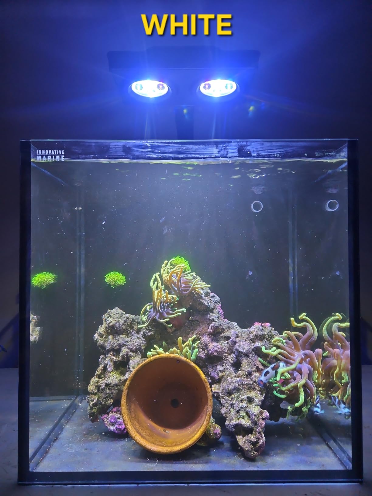 Aquarium Light -A036 Reef Tank Light 36 Watts Saltwater Light with Touch Control, Reef Lights for Coral Reef Nano Fish Tank Marine Tanks with Timer & Screen customer photo 2