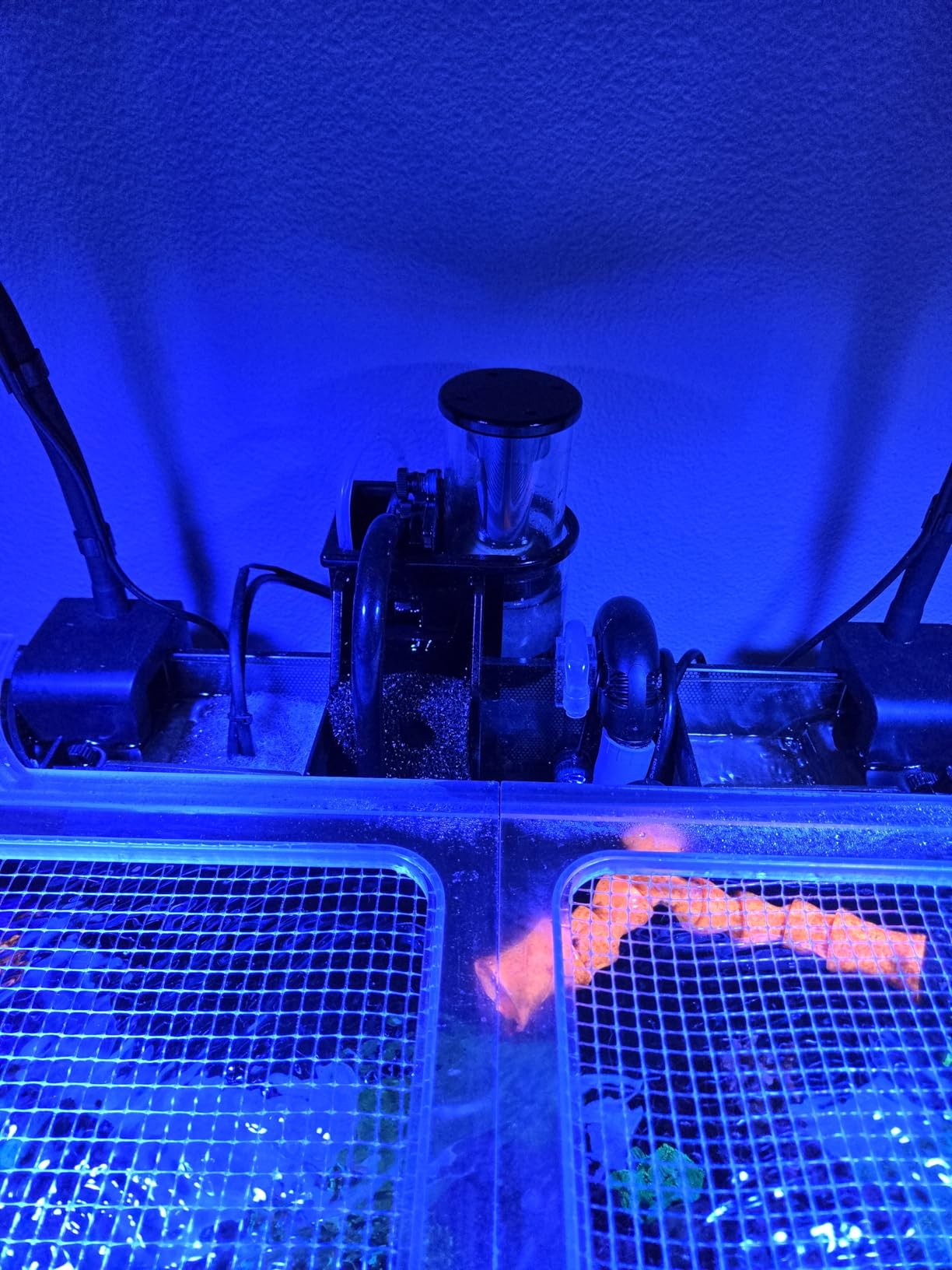 AquaReady Nano Hang On Back Protein Skimmer for Saltwater Aquariums Bullet-1, Up to 30 Gallon Filtration, Hang On External, Adjustable, Ultra Quiet Pump, Compact Design customer photo 2