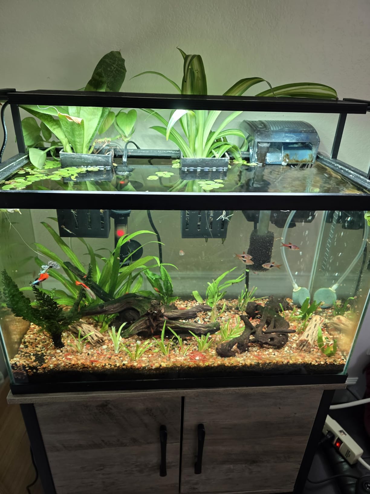 AC20 Power Filter, 5-20 US Gal / 18-76 L - Fluval USA customer photo 1