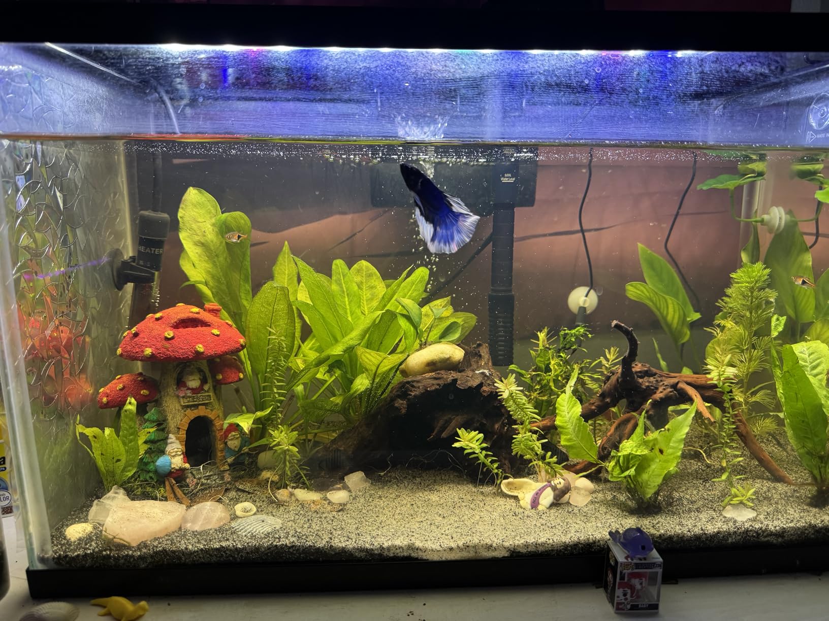 hygger Aquarium HOB Filter 315 GPH for 40-75 Gallon Fish Tank Power Filter customer photo 1