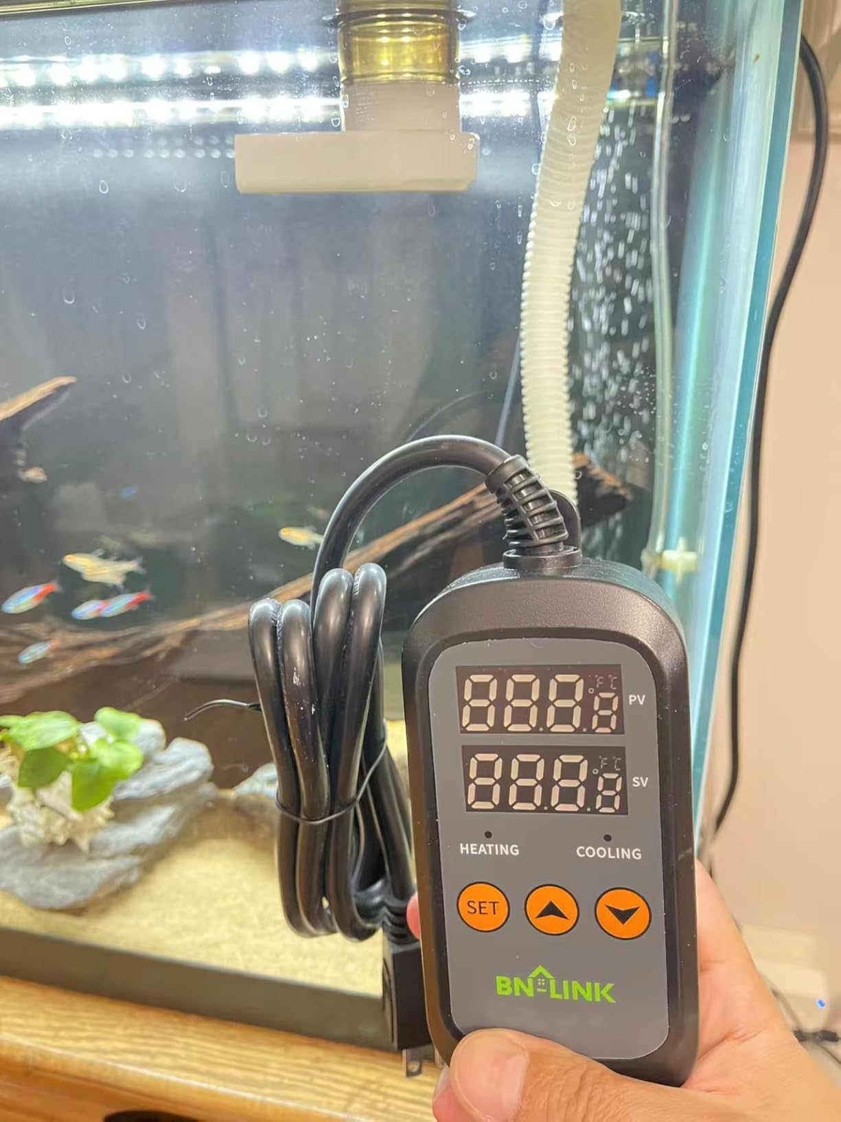 BN-LINK Digital Temperature Controller Thermostat Outlet with Heating Cooling Mode, 2-Stage Outlet Thermostat Controller Plug for Reptiles Aquarium Carboy Homebrew Breeding Fermenter Seed Germination customer photo 1