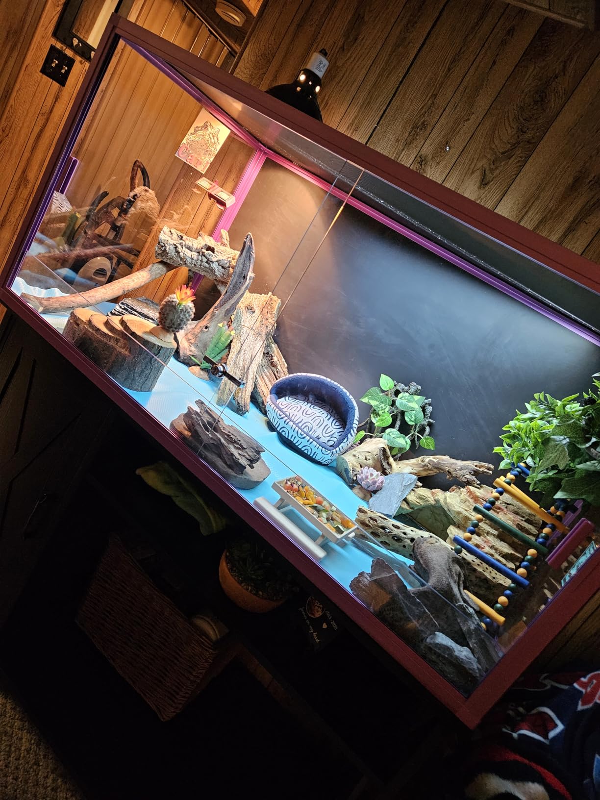 68 Gallon Reptile Terrarium, 48