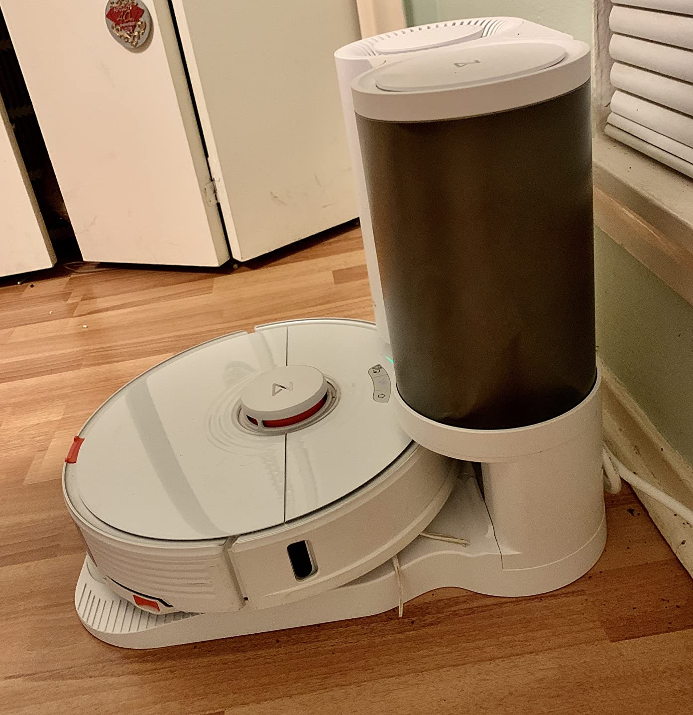 roborock Q10 S5+ Robot Vacuum and Mop, 10,000Pa Suction, Upgraded from Q8 max+, 70 Days Self-Emptying, Obstacle Avoidance, Sonic Mopping, Dual Anti-Tangle Design, Auto Mop Lifting, Black customer photo 2
