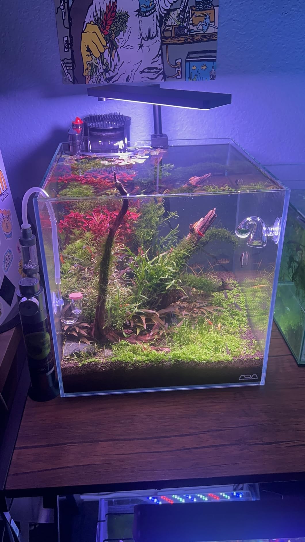 FZONE Desktop Aquarium CO2 System, CO2 Regulator with 45g Disposable CO2 Cartridge, Compatible with 5/8