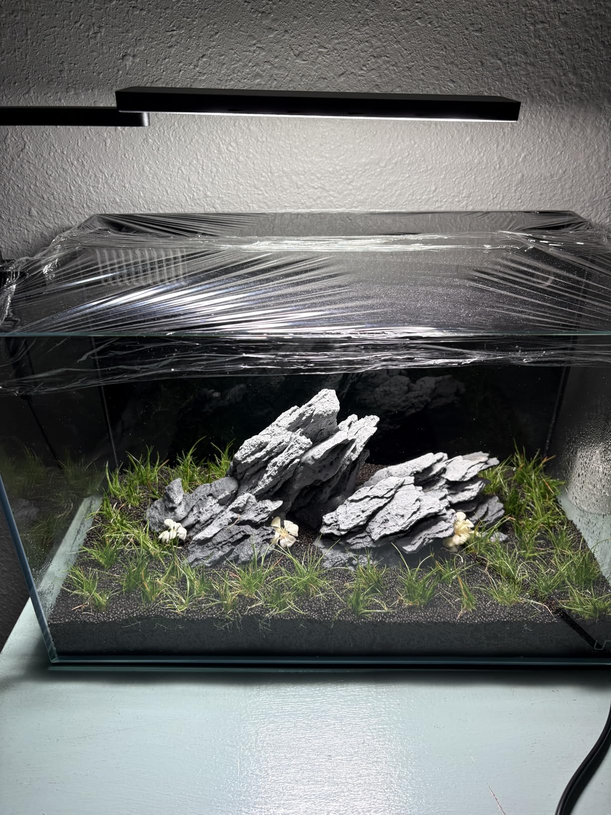 FZONE Solo Series Nano LED Aquarium Light, Full Spectrum and Dimmable, App-Controlled, for Freshwater and Planted Tanks customer photo 1