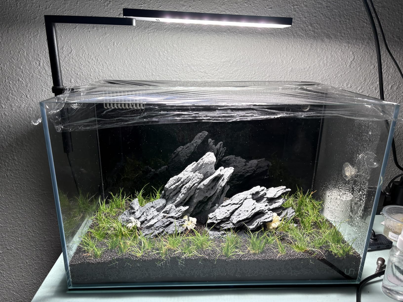 FZONE Solo Series Nano LED Aquarium Light, Full Spectrum and Dimmable, App-Controlled, for Freshwater and Planted Tanks customer photo 2
