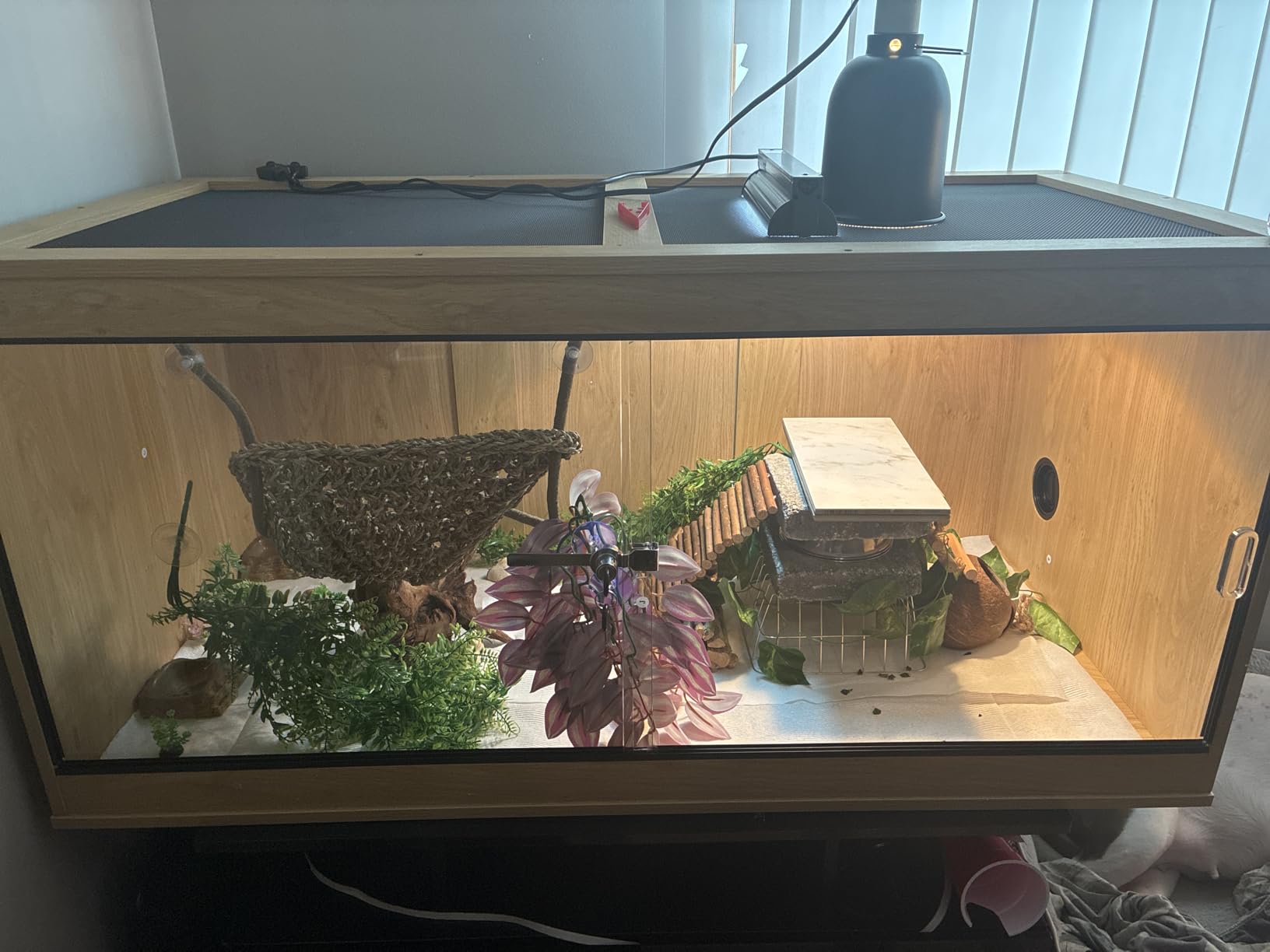 110 Gallon Reptile Tank for Lizards, Bearded Dragon Enclosure Terrarium, Large Stackable Cage with Glass Sliding Doors and Lock and Cable Port, Black customer photo 1