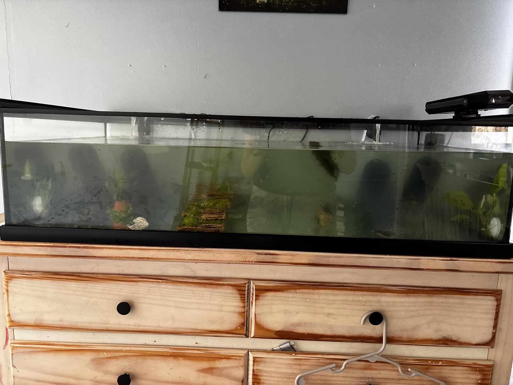 AQUASMITH Aquarium Chiller Fan, Fish Tank Cooler with Temperature Control, Minimum Setting 59F, Auto Start/Stop, Refrigeration Effect 3-7F, 3-Speed Modes, for Axolotl Seawater Freshwater Coral Grass Tank customer photo 2