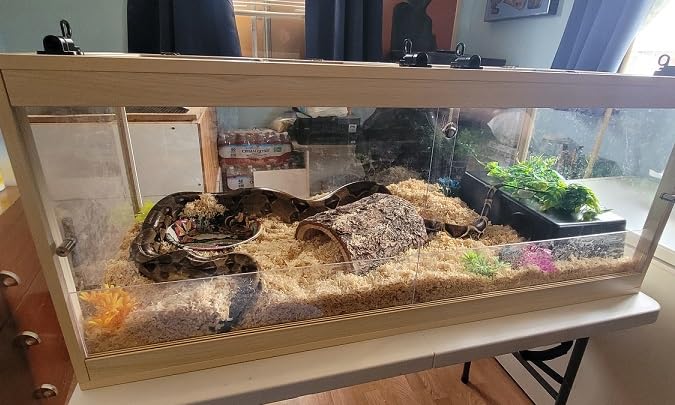 PROLEE Bearded Dragon Tank, Reptile Tank with Meatl Mesh Roof and Front Sliding Door, Lizard Tank, Spacious Reptile Enclosure for Snakes, Lguanas, Chameleons (Black, 30 Gallons) customer photo 1