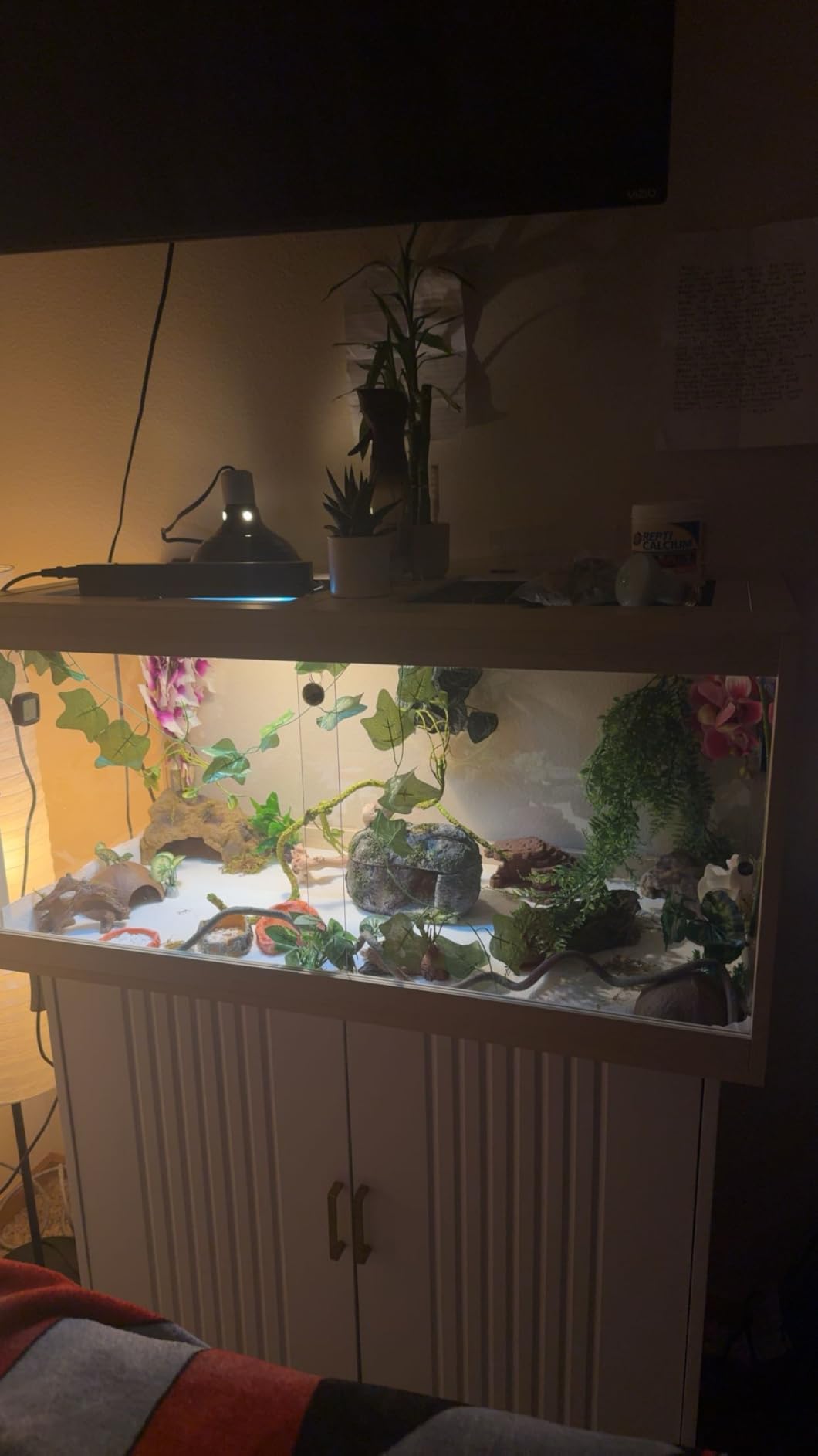 PROLEE Bearded Dragon Tank, Reptile Tank with Meatl Mesh Roof and Front Sliding Door, Lizard Tank, Spacious Reptile Enclosure for Snakes, Lguanas, Chameleons (Black, 30 Gallons) customer photo 2