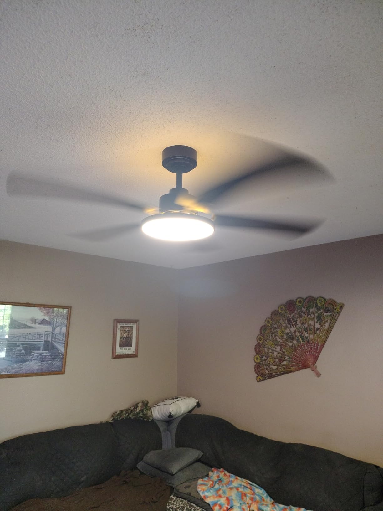 Amico 52 Inch Smart Ceiling Fan with Lights, Remote/App/Alexa/Google Control, WiFi Modern Downrod Mount Ceiling Fan, Reversible DC Motor, 6 Speeds, 3CCT, Dimmable, Quiet for Bedroom/Living Room, Black customer photo 2