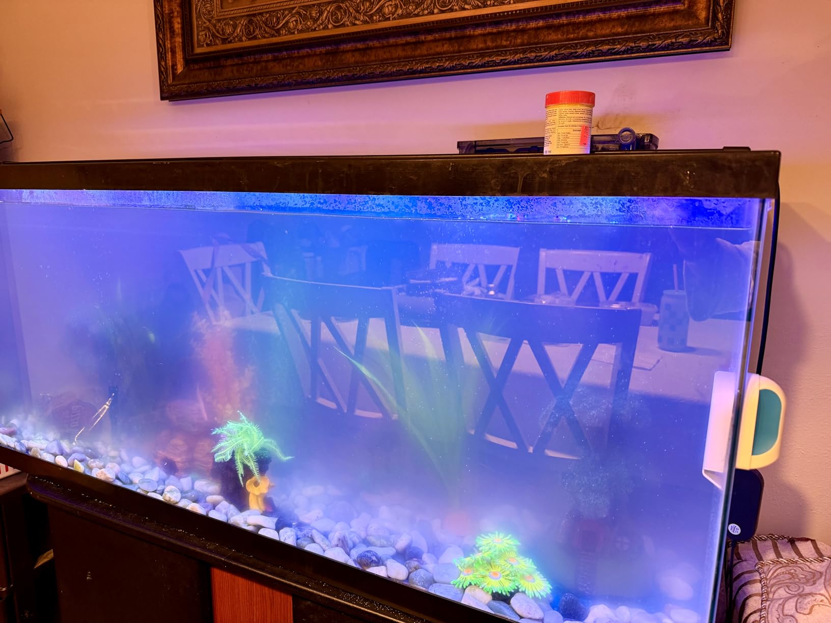Large Hang on Back Aquarium Filter 264GPH for 20-75 Gal Fish Tank, w/ U-V Light Surface Skimmer 13-Stage Green Killing Deodorization Machine Saltwater Freshwater Crystal Clear Suspension Oxygen customer photo 1