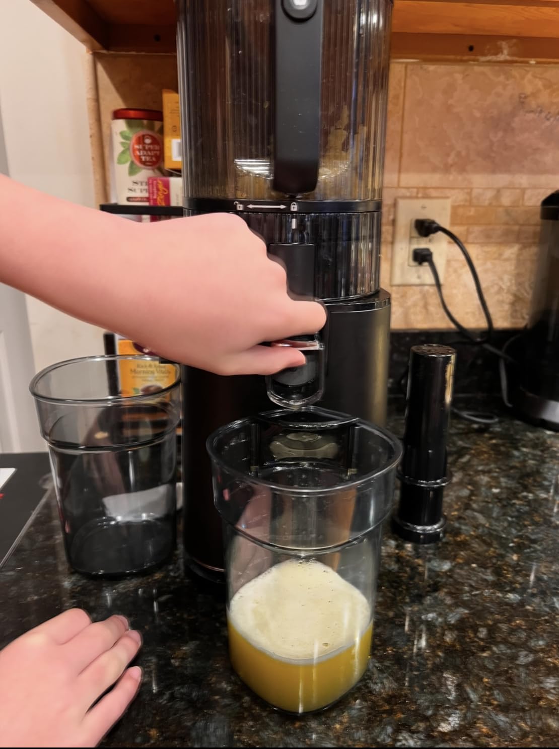 ECOSELF 3-in-1 Juicer with 3 Filters (For Juice, Sorbet & Nut Milk), With 6.0