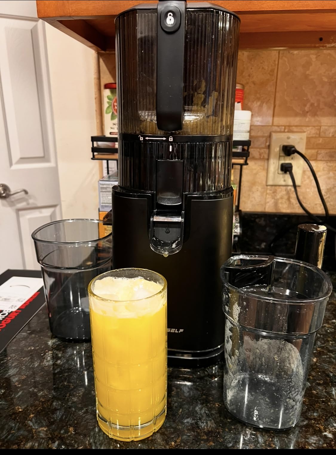 ECOSELF 3-in-1 Juicer with 3 Filters (For Juice, Sorbet & Nut Milk), With 6.0
