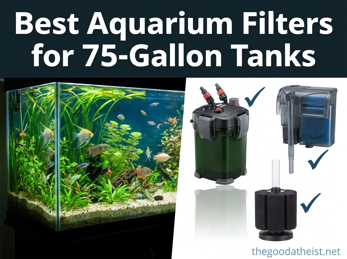 Best Aquarium Filters for 75-Gallon Tanks