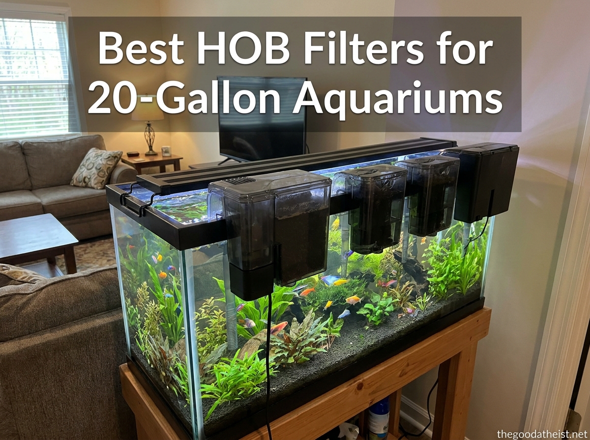 Best HOB Filters for 20-Gallon Aquariums