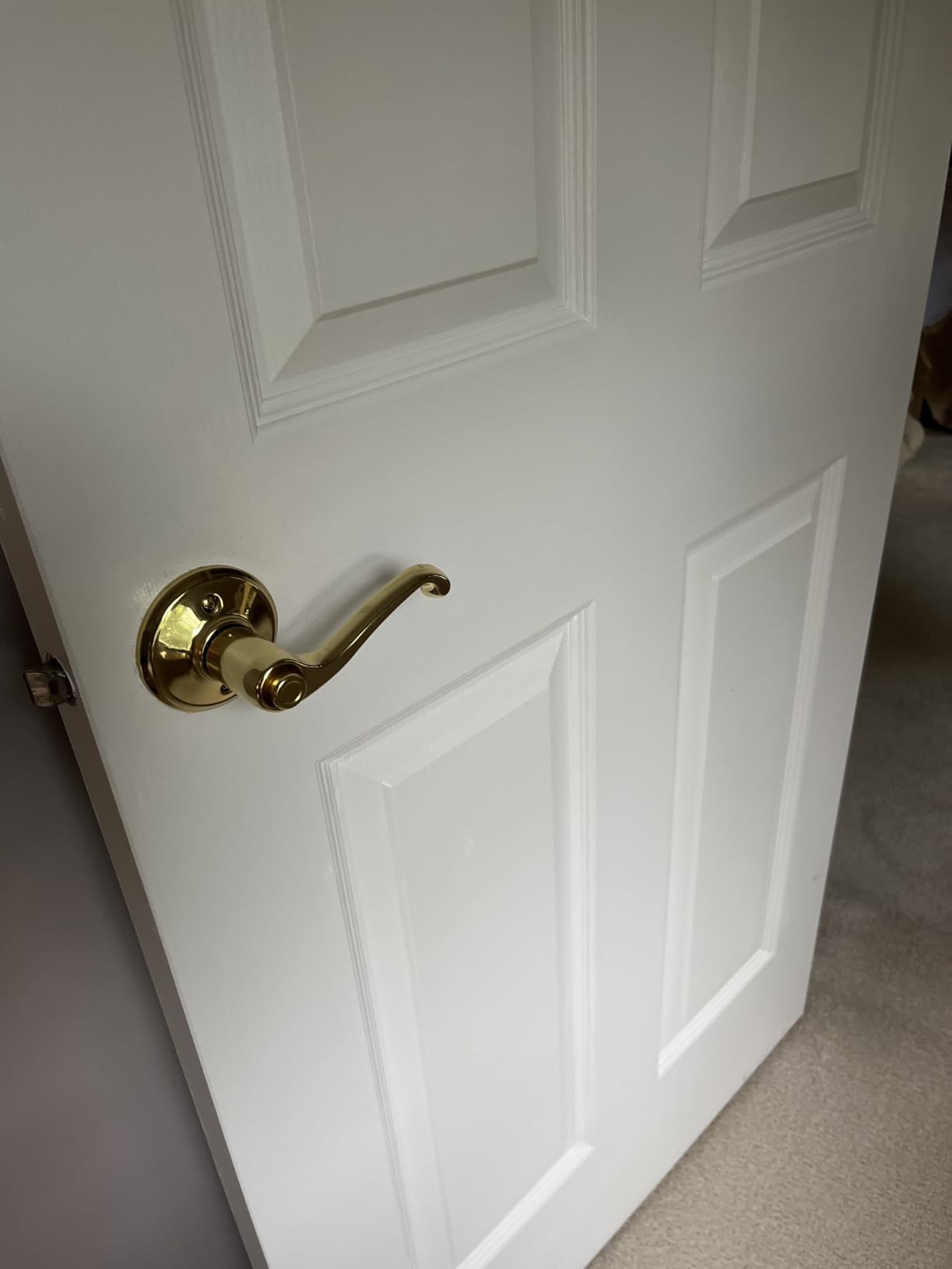 SCHLAGE Flair Hall/Closet Passage Door Handle, Reversible, Bright Brass customer photo 1