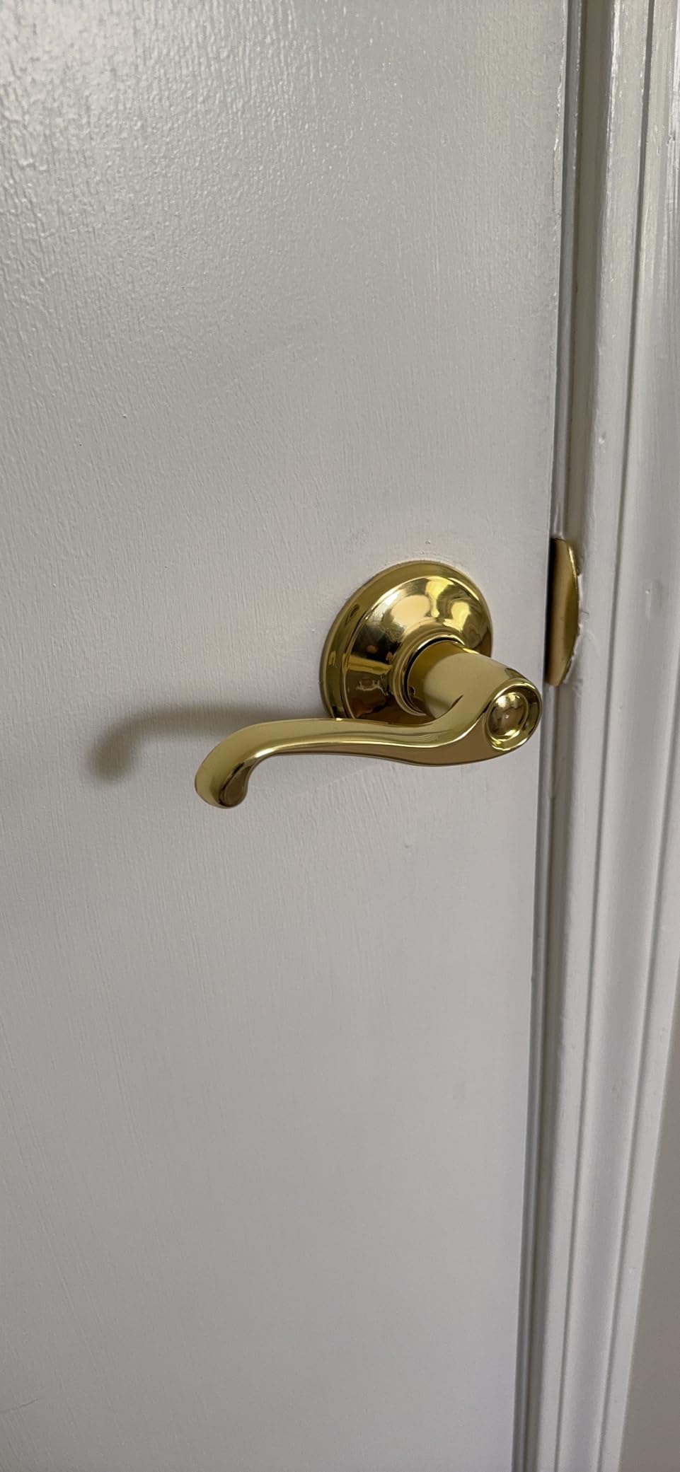 SCHLAGE Flair Hall/Closet Passage Door Handle, Reversible, Bright Brass customer photo 2