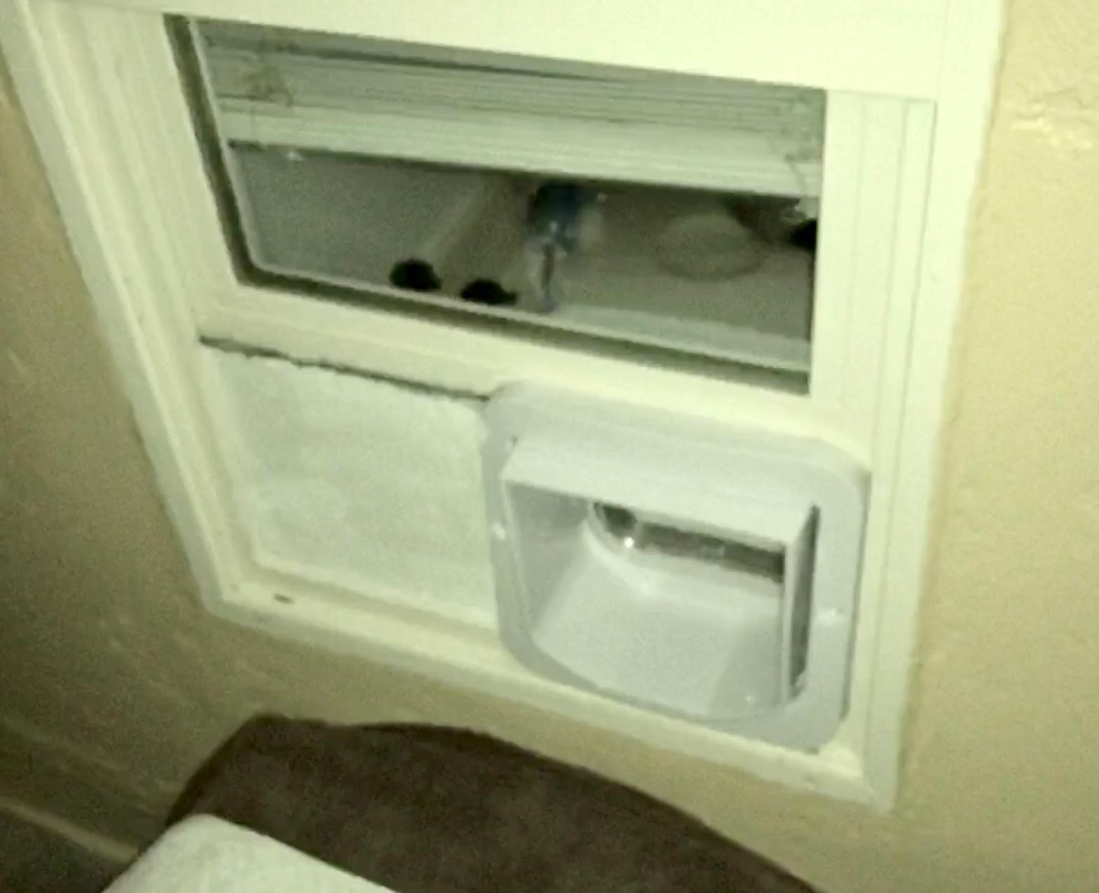 Sure Petcare Microchip Cat Flap, White, Scans Pet's ID on Entry, Check Your Cat's Size, Flap Opening is 4 3/4