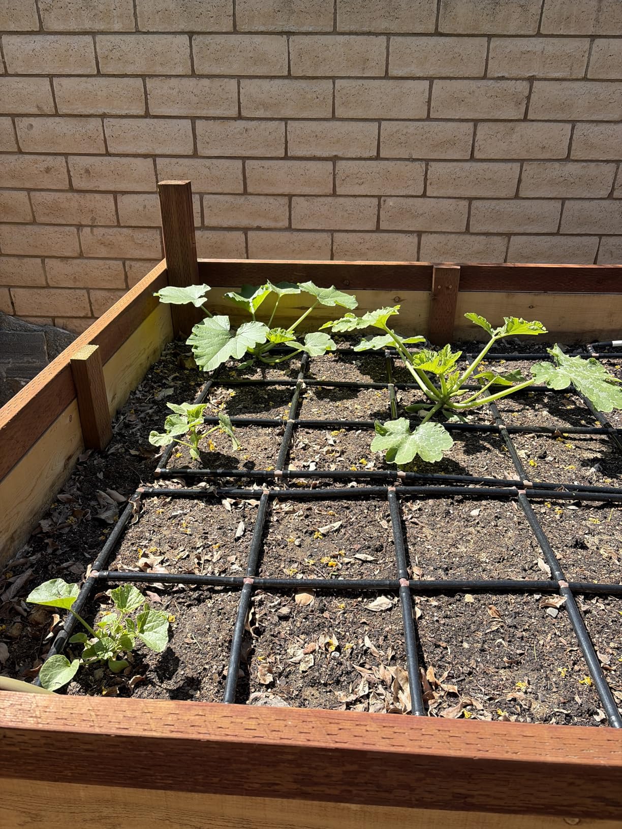 Garden Grid Watering System, 4x4 | Garden Watering System for Raised Beds - But Better | Pre-Assembled, Waters Every Plant Evenly, 1-Min Setup | Square Foot Gardening | US-Made | Standard 44