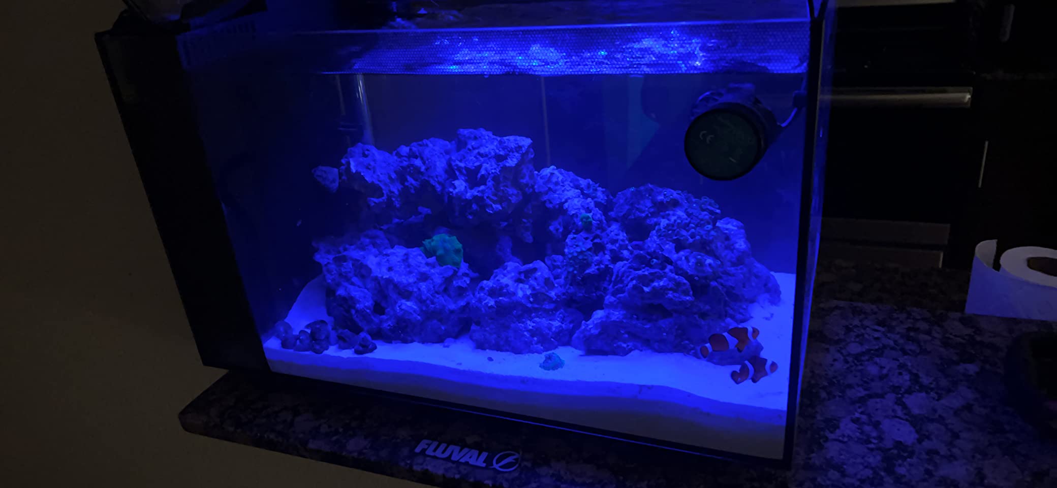 Fluval Evo XII Saltwater Aquarium Kit, 13.5 Gal. | Saltwater Fish Tank with Reef-Capable LED, Efficient 3-Stage Filtration and Seamlessly Integrated Hardware customer photo 1