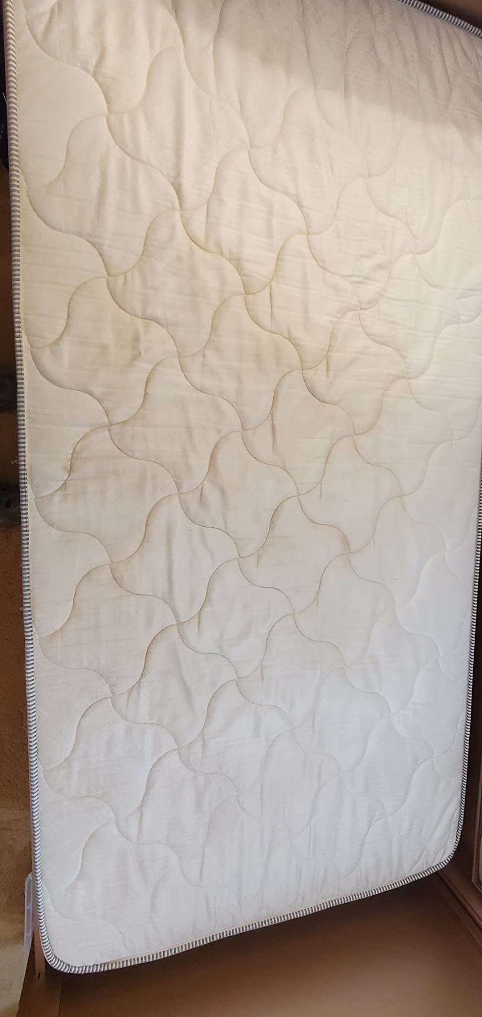 Mytee Contractor's Special Heated Carpet Extractor customer photo 2