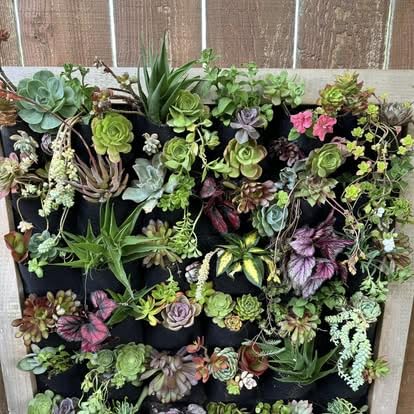 Ogrmar 36 Pockets Wall Planter Breathable Vertical Garden Planter Grow Bag customer photo 1