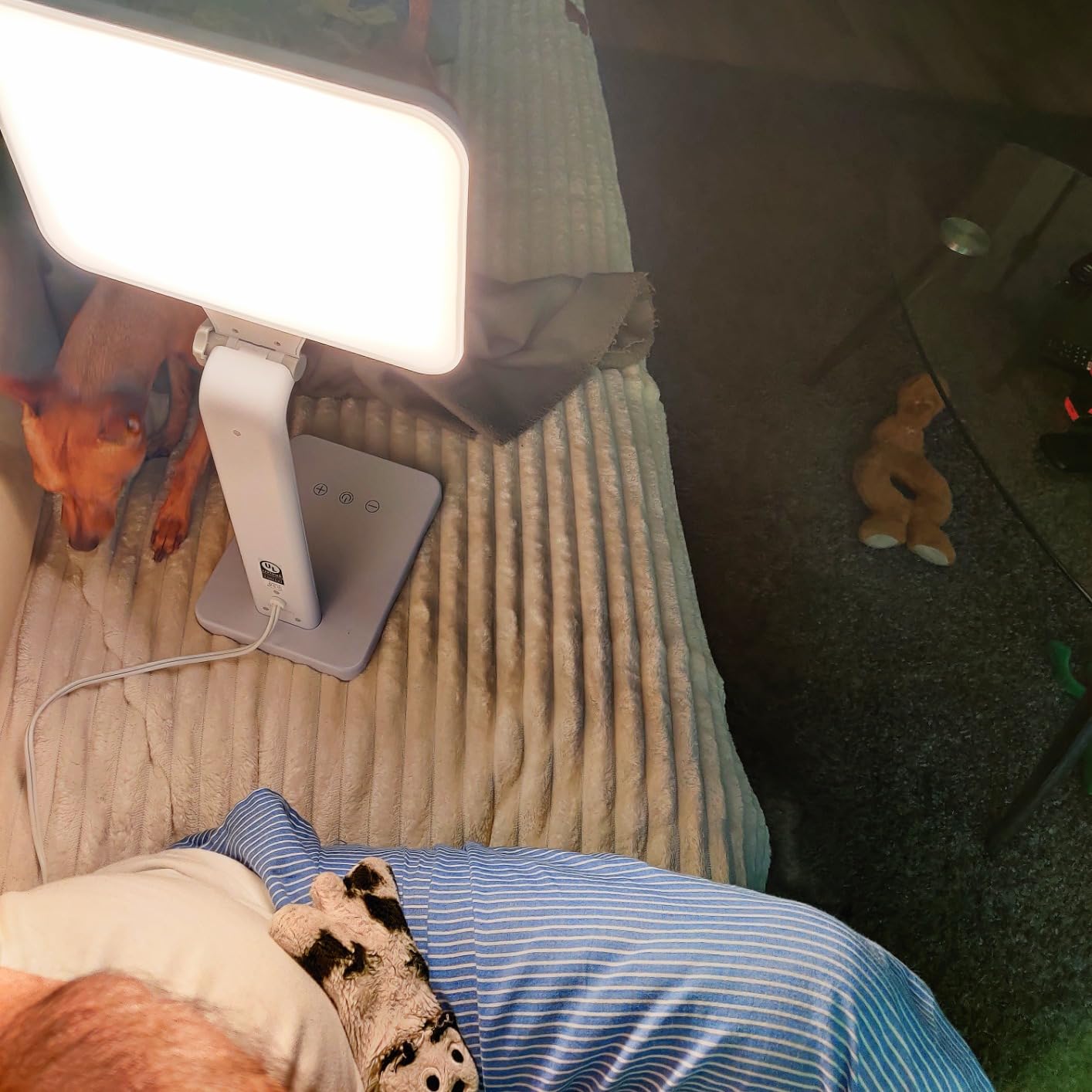 Theralite Aura Bright 10000 Lux Therapy Lamp, Sun Lamp for Light Box Therapy to Fight Low Energy with Adjustable Brightness 4 Light Settings for Sunlight Deprivation for Home and Office Use, White customer photo 1