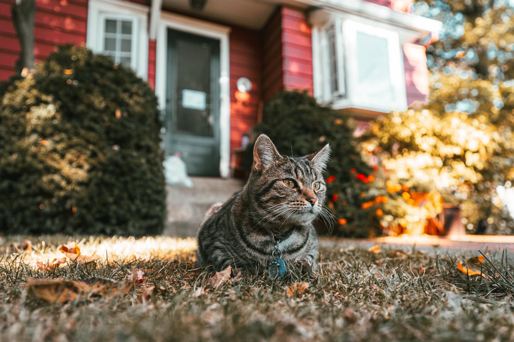 Tamron 17-28mm f/2.8 Di III RXD Ultra-Wide Zoom Lens for Sony E Mount Full Frame customer photo 2