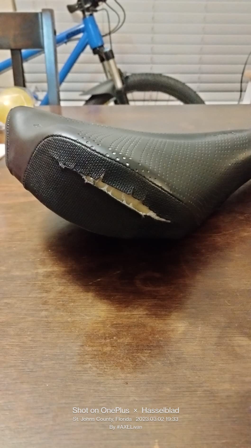 WTB Pure Mountain Bike Seat (Saddle) - Thick All-Day Comfort Padding customer photo 2