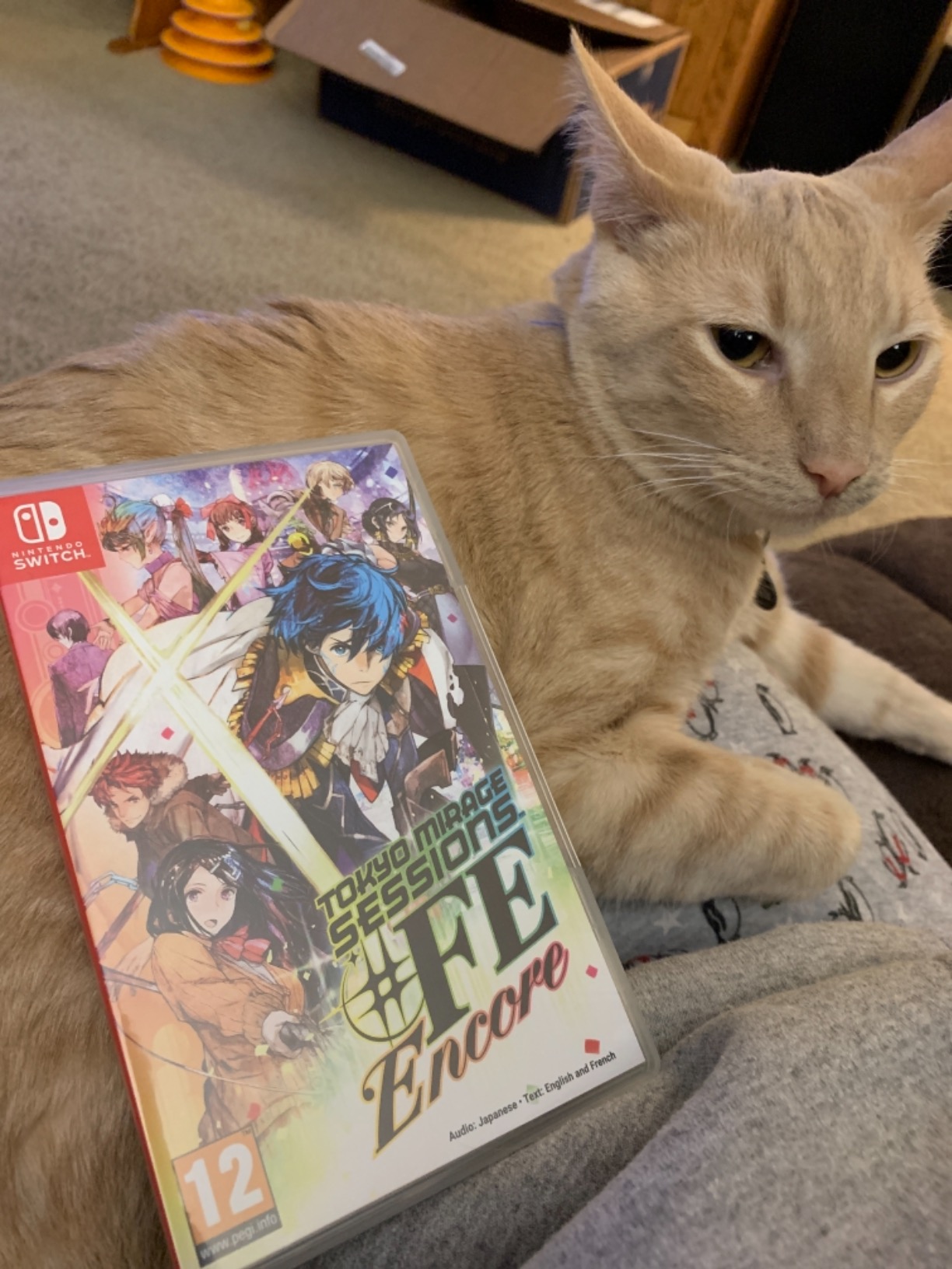 Tokyo Mirage Session #FE Encore - Nintendo Switch customer photo 2