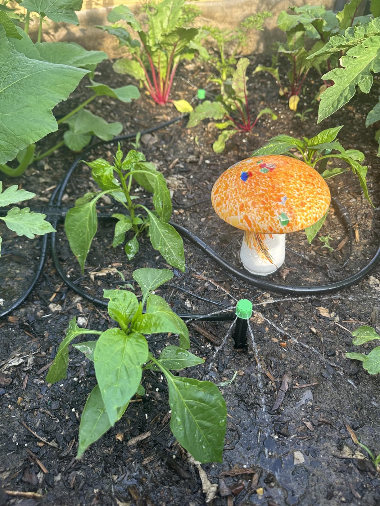 CARPATHEN Drip Irrigation System Kit - Complete Premium Garden Watering System with Adjustable Sprinkler Emitters, 5/16
