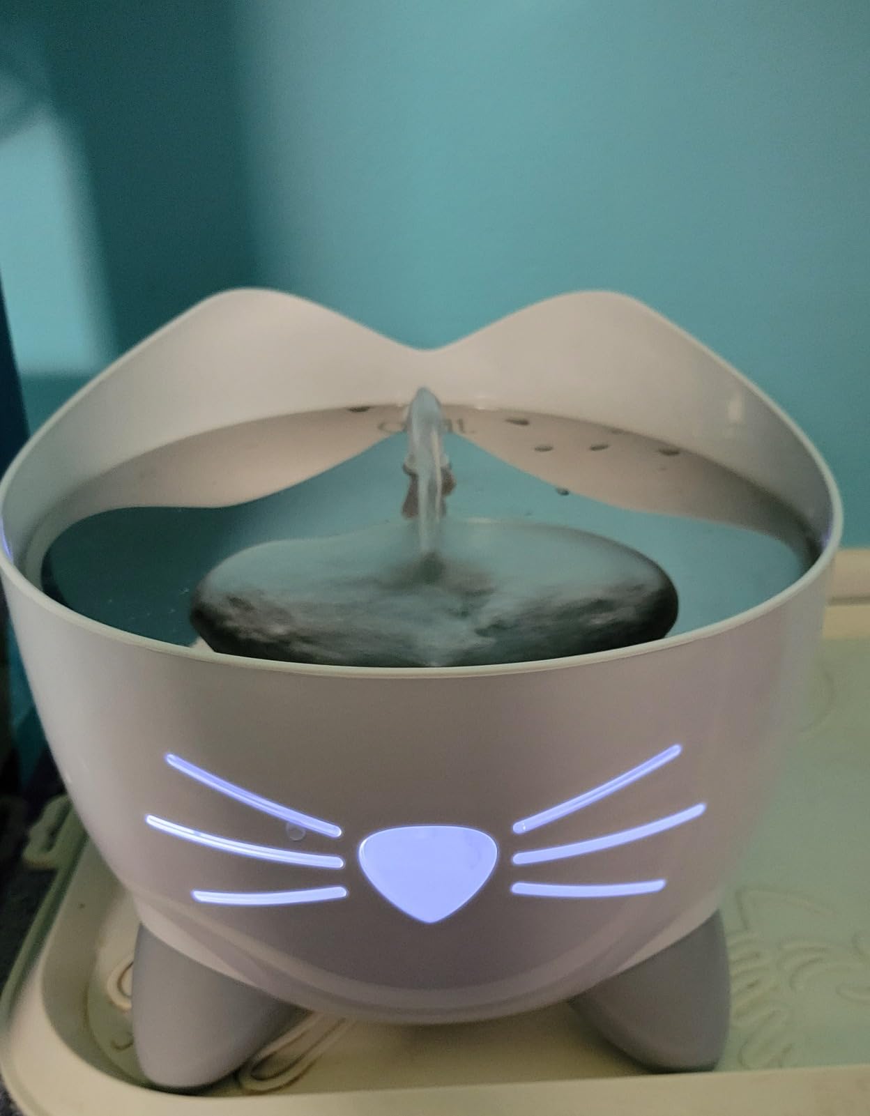 Catit PIXI Drinking Fountain - Cat Water Fountain with Triple Filter and Ergonomic Drinking Options, Stainless Steel customer photo 2
