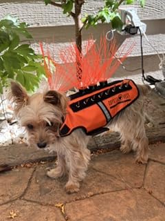 CoyoteVest SpikeVest Dog Harness | Stab-Resistant Protective Vest | Coyote Vest for Dogs | Defends Against Coyotes, Dogs, Birds of Prey | Reflective Safety, Made in USA (XS-Neon Pink) customer photo 1
