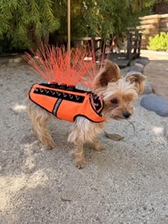 CoyoteVest SpikeVest Dog Harness | Stab-Resistant Protective Vest | Coyote Vest for Dogs | Defends Against Coyotes, Dogs, Birds of Prey | Reflective Safety, Made in USA (XS-Neon Pink) customer photo 2