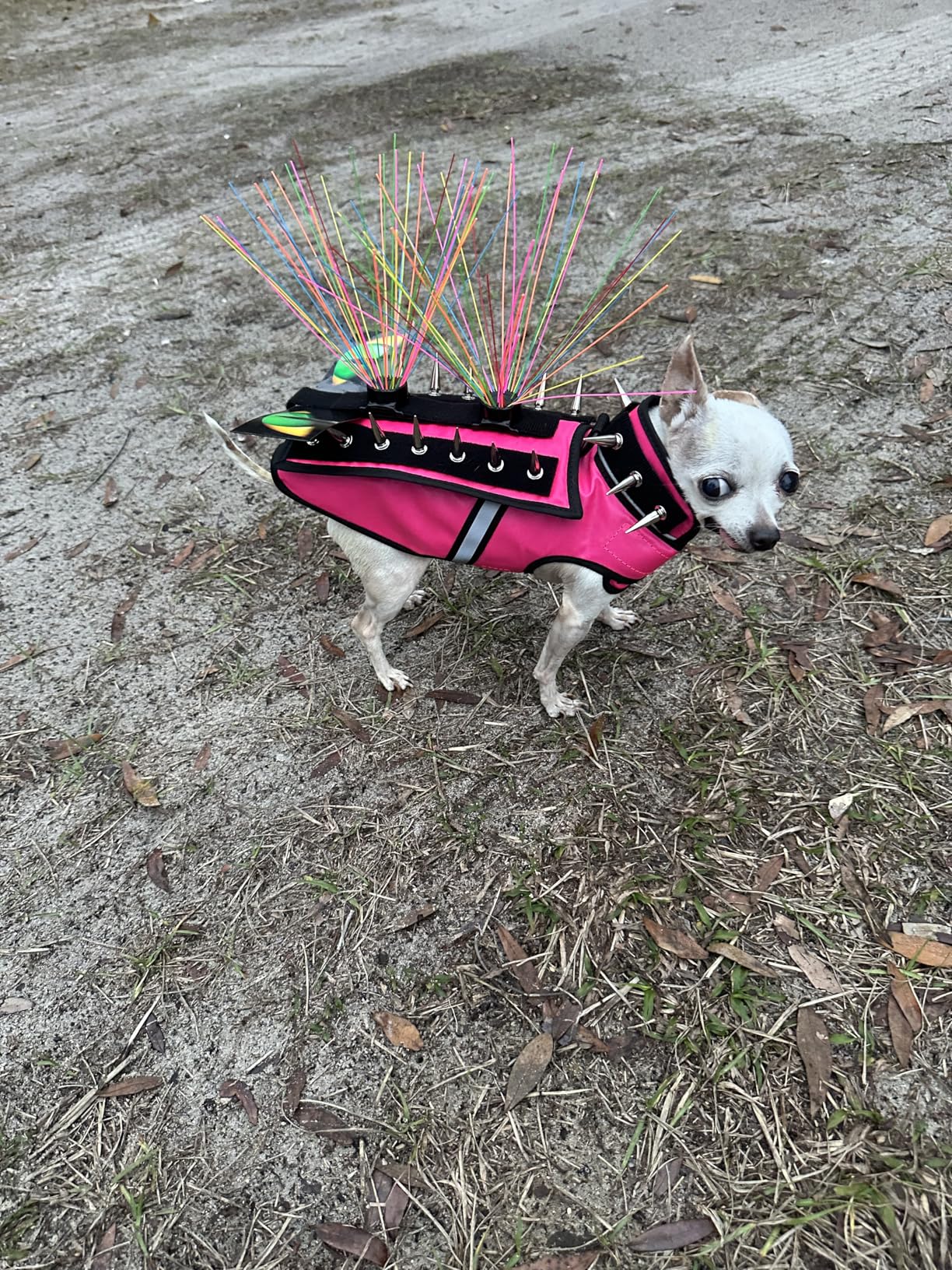 HawkShield Pad for CoyoteVest or SpikeVest, Dog Harness Vest, Protective Dog Vest Harness Add-On to Shield Your Pet from Birds of Prey, Raptor, Hawk, Coyote & Animal Attacks-(Small, Neon Pink) customer photo 1