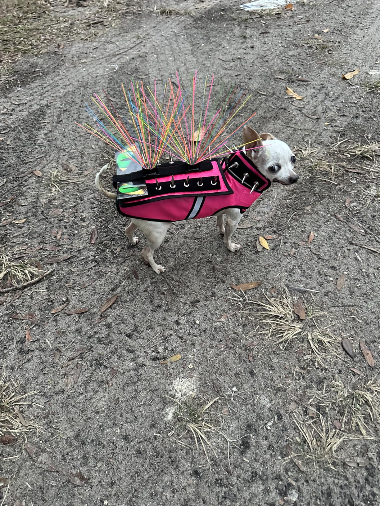 HawkShield Pad for CoyoteVest or SpikeVest, Dog Harness Vest, Protective Dog Vest Harness Add-On to Shield Your Pet from Birds of Prey, Raptor, Hawk, Coyote & Animal Attacks-(Small, Neon Pink) customer photo 2