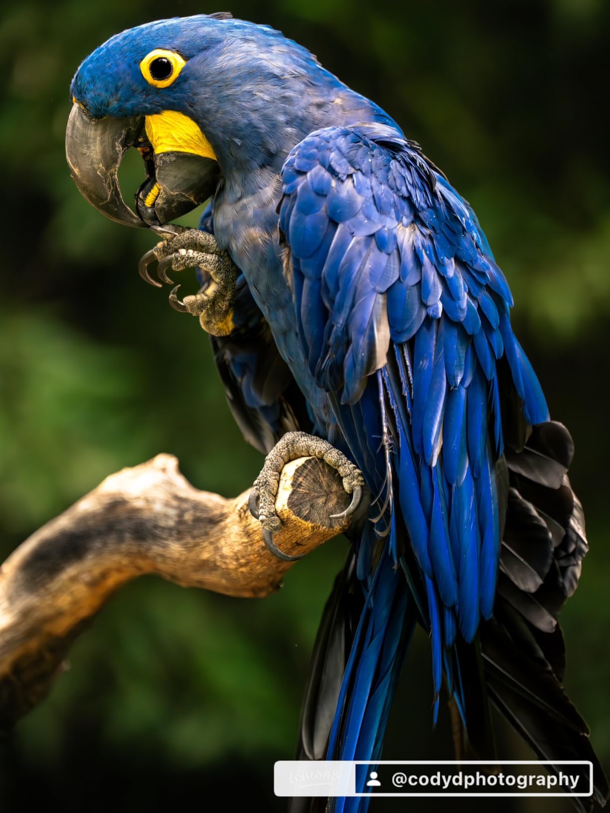 Sony FE 70-200mm F2.8 GM OSS II Full-Frame Telephoto Zoom G Master Lens (SEL70200GM2) customer photo 1