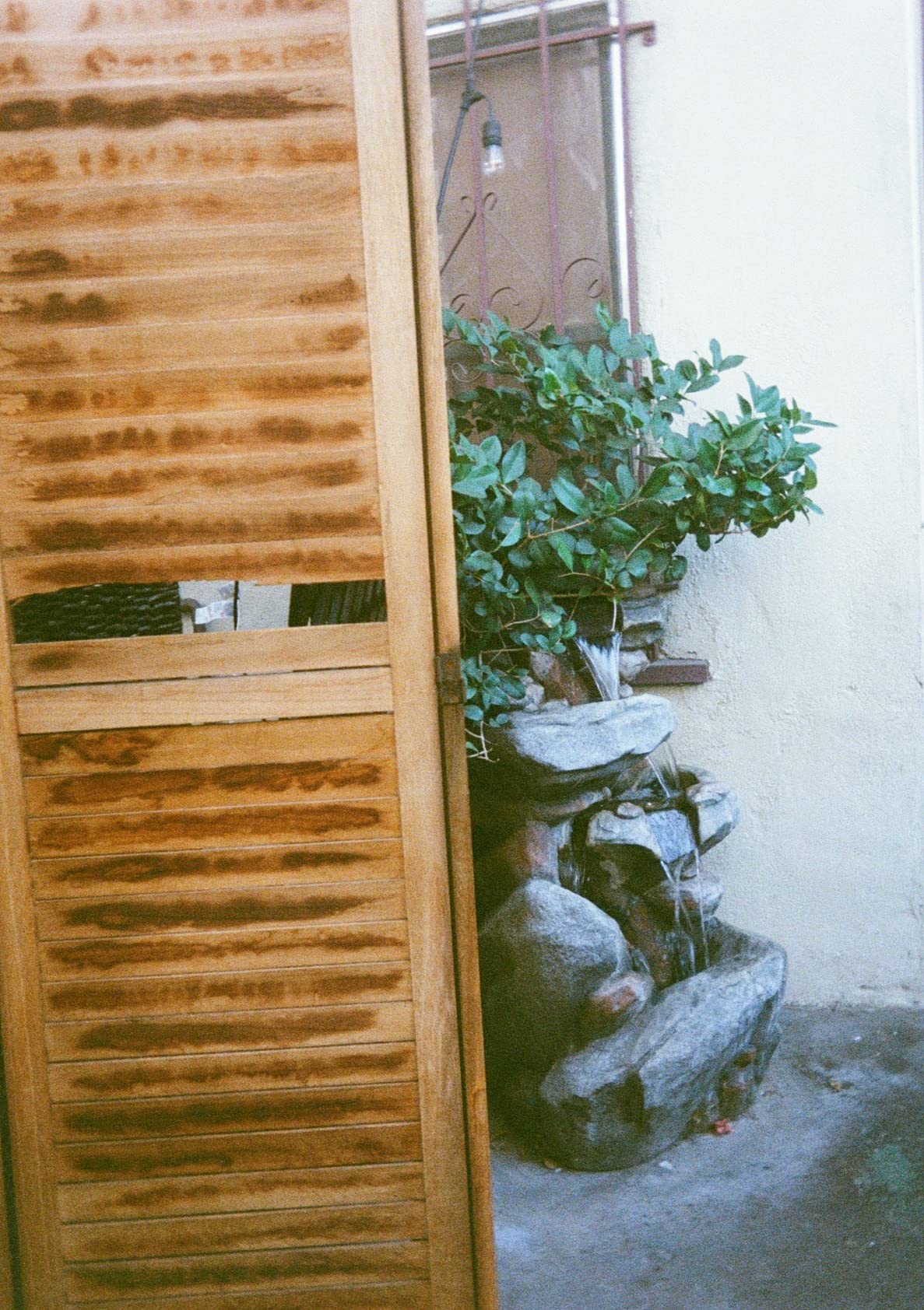 KODAK EKTAR H35 Half Frame Film Camera, 35mm, Reusable, Focus-Free, Lightweight, Easy-to-Use (Sage) customer photo 2