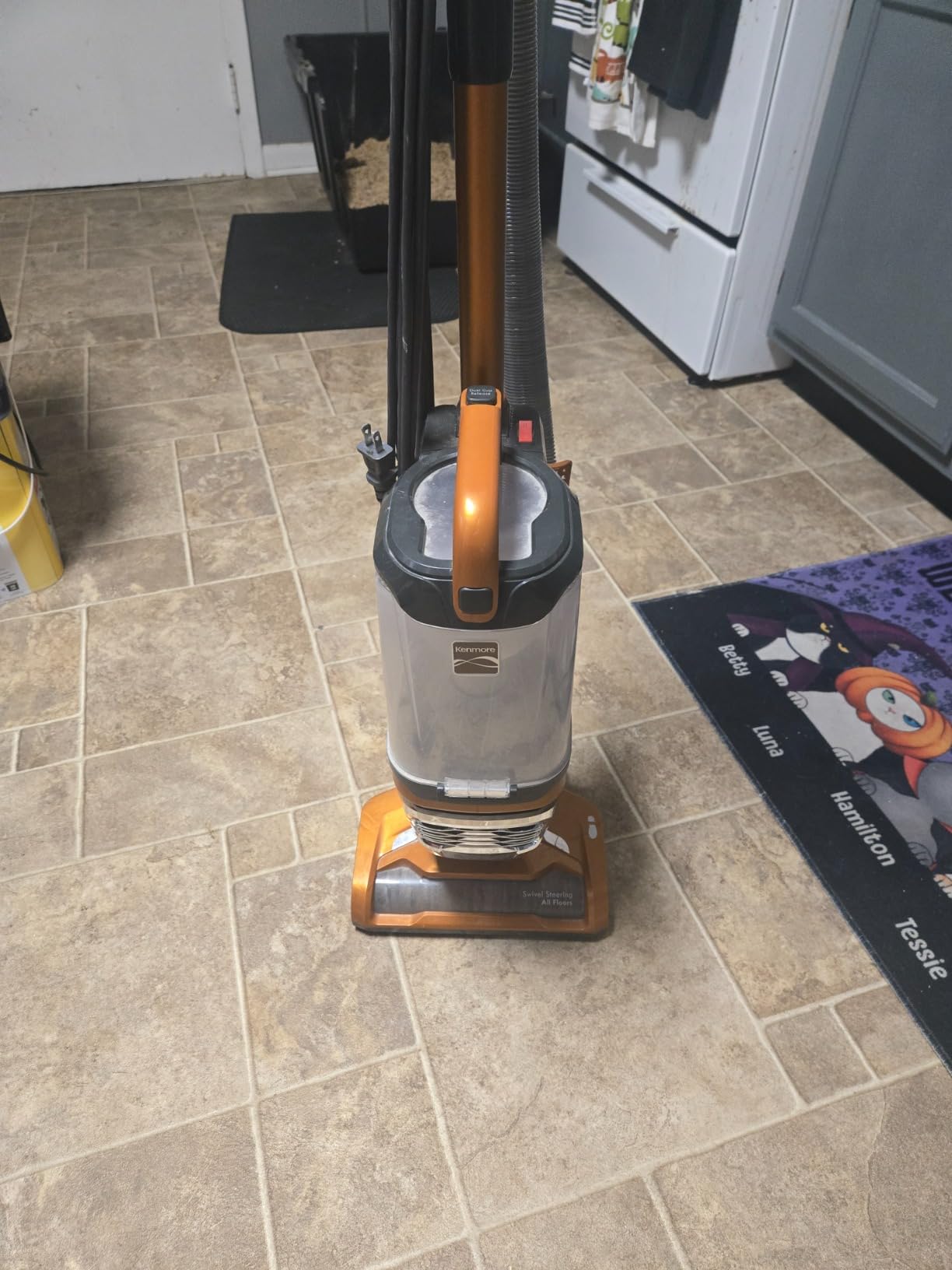 Kenmore Featherlite Lift-Up Bagless Upright Vacuum customer photo 1